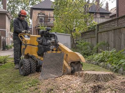 Stump grinding machine working in a residential backyard